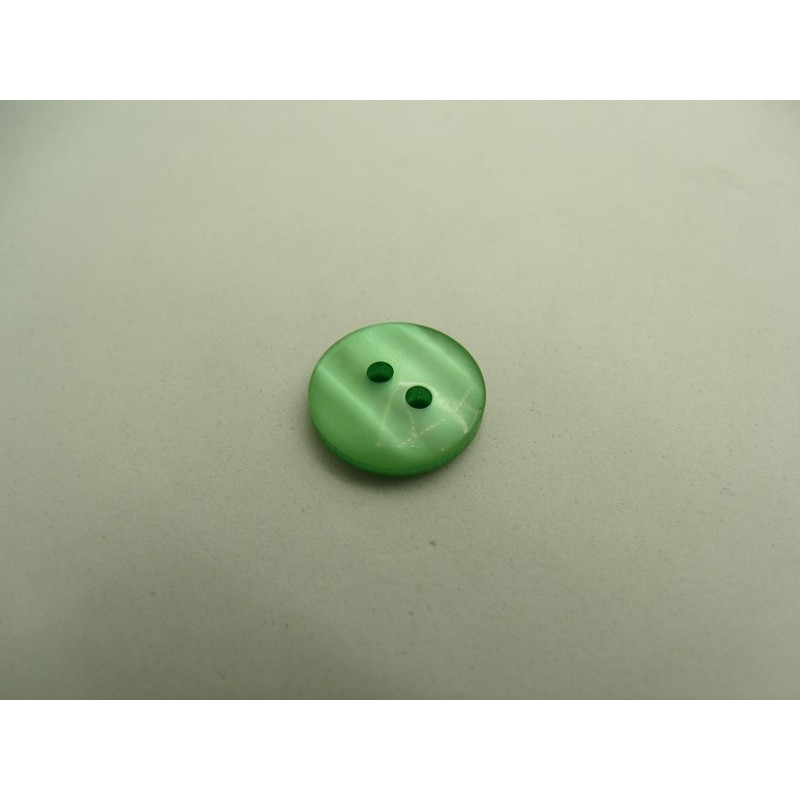 bouton acrylique vert à 2 trous