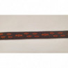 orange sur fond marron
