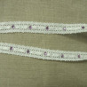 Ruban Brodé Entrelacé Satin avec Strass 20 mm