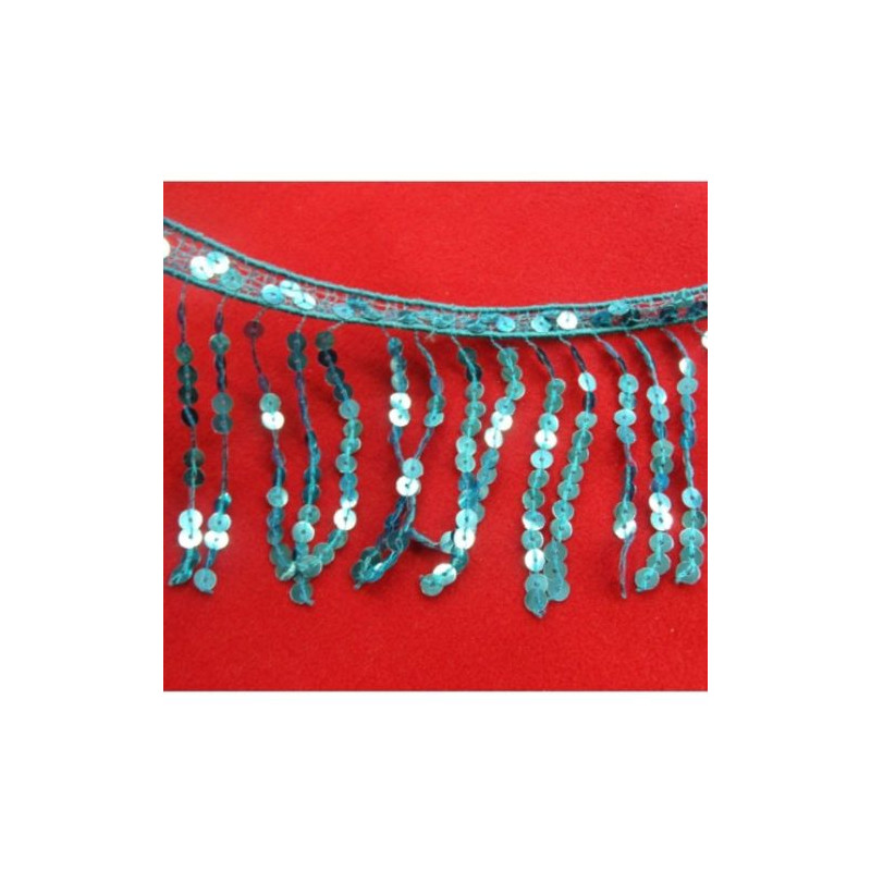 Ruban Frange Pailleté 11 cm