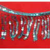 Ruban Frange Pailleté 11 cm