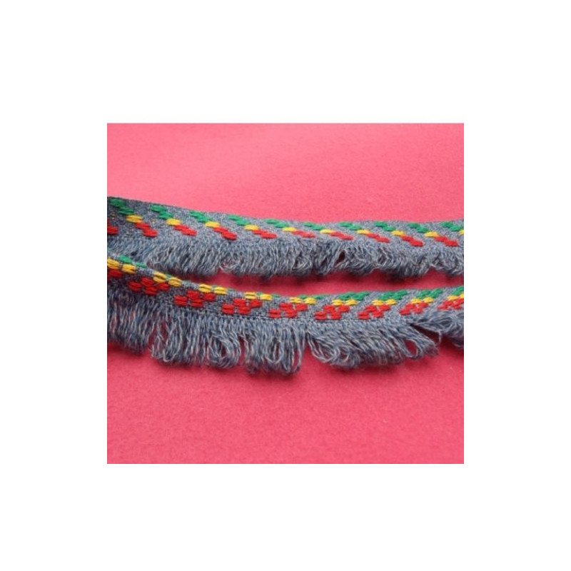 Ruban Frange Bleu Multicolore 30 mm