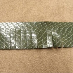Ruban Frange Polyester Python Vert 30 mm