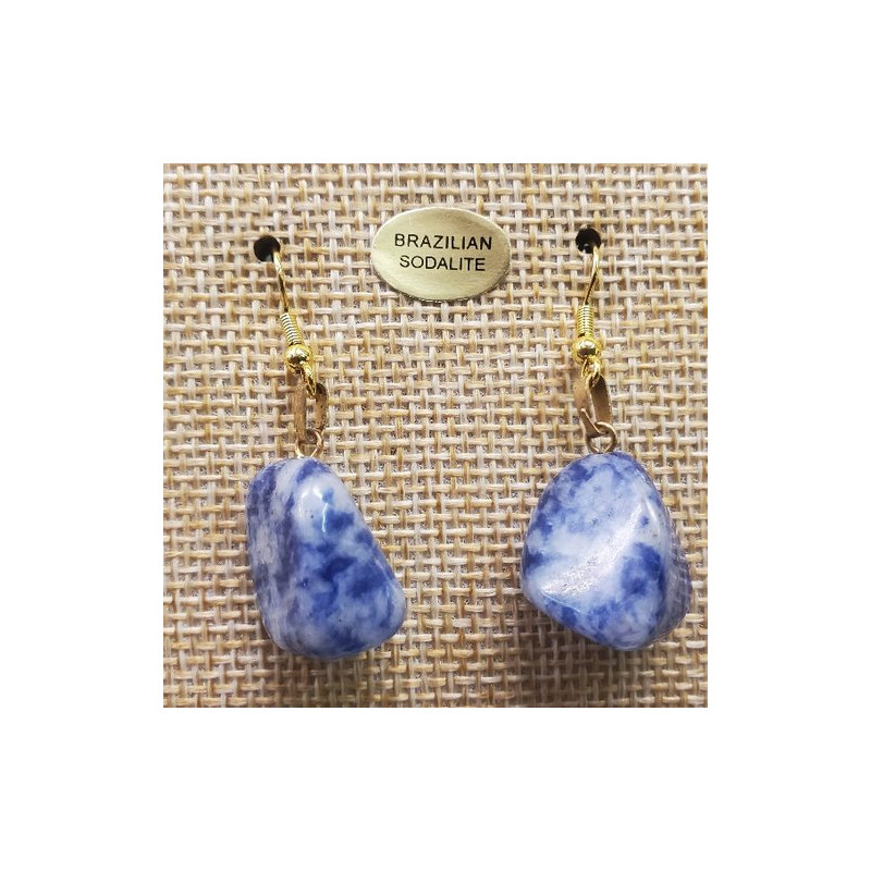 paire de boucle d'oreille en pierre semi précieuse en forme diverses brazilian sodalite