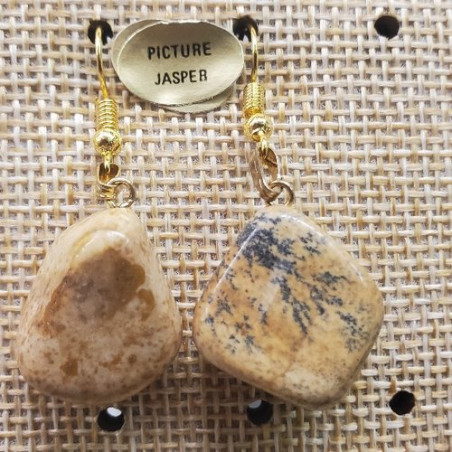paire de boucle d'oreille en pierre semi précieuse en forme diverses picture jasper