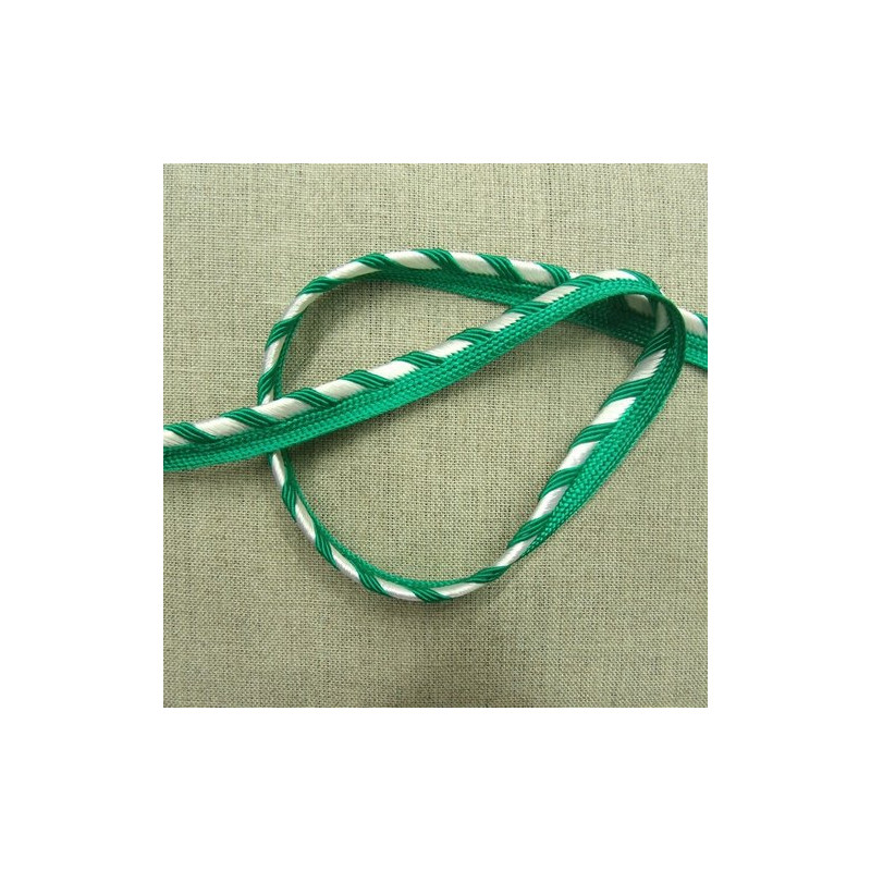 LOT de  ruban passepoil polyester bicolore 12  mm