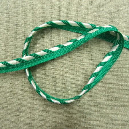 LOT de  ruban passepoil polyester bicolore 12  mm