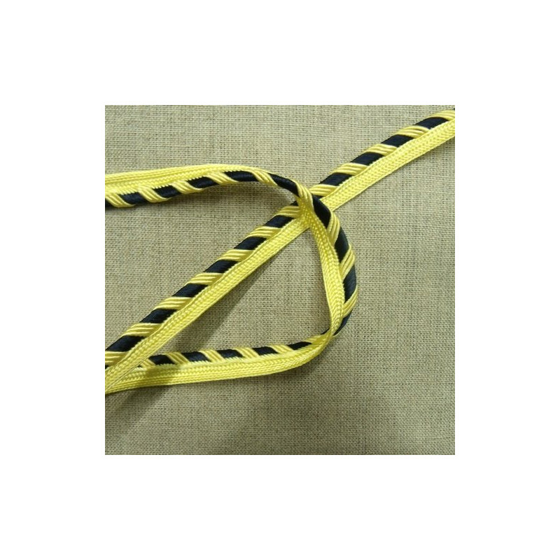 LOT de  ruban passepoil polyester bicolore 12  mm