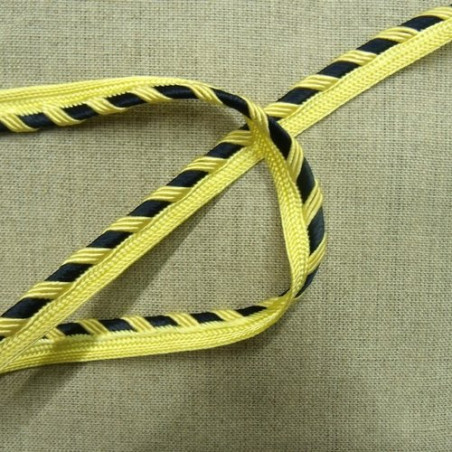 LOT de  ruban passepoil polyester bicolore 12  mm