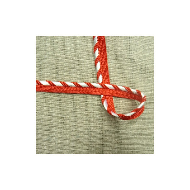 LOT de  ruban passepoil polyester bicolore 12  mm