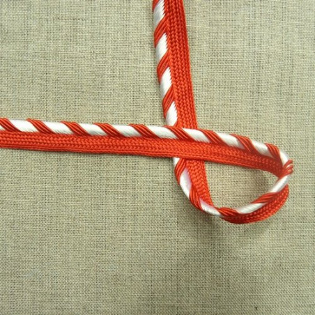 LOT de  ruban passepoil polyester bicolore 12  mm