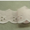 BRODERIE ANGLAISE COTON rose 2,5 cm / hauteur de broderie 1,5 cm