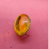 Strass à Griffe Ovale Doré – 2,5 x 1,8 cm – Plusieurs Couleurs