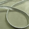 RUBAN PASSEPOIL POLYESTER  argenté 10 mm