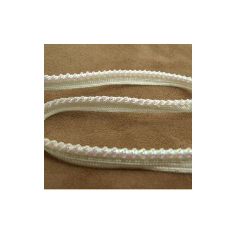Ruban Passepoil Viscose Liséré Brillant 10 mm