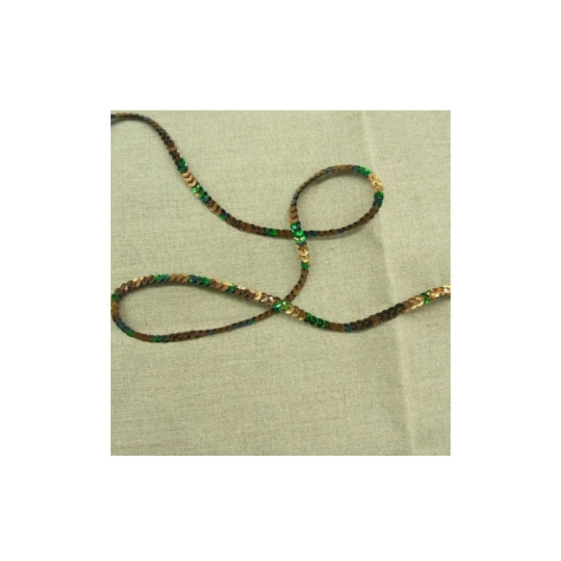 lot de Ruban pailleté sequin  montée sur fil  bicolore vert et marron 5 mm