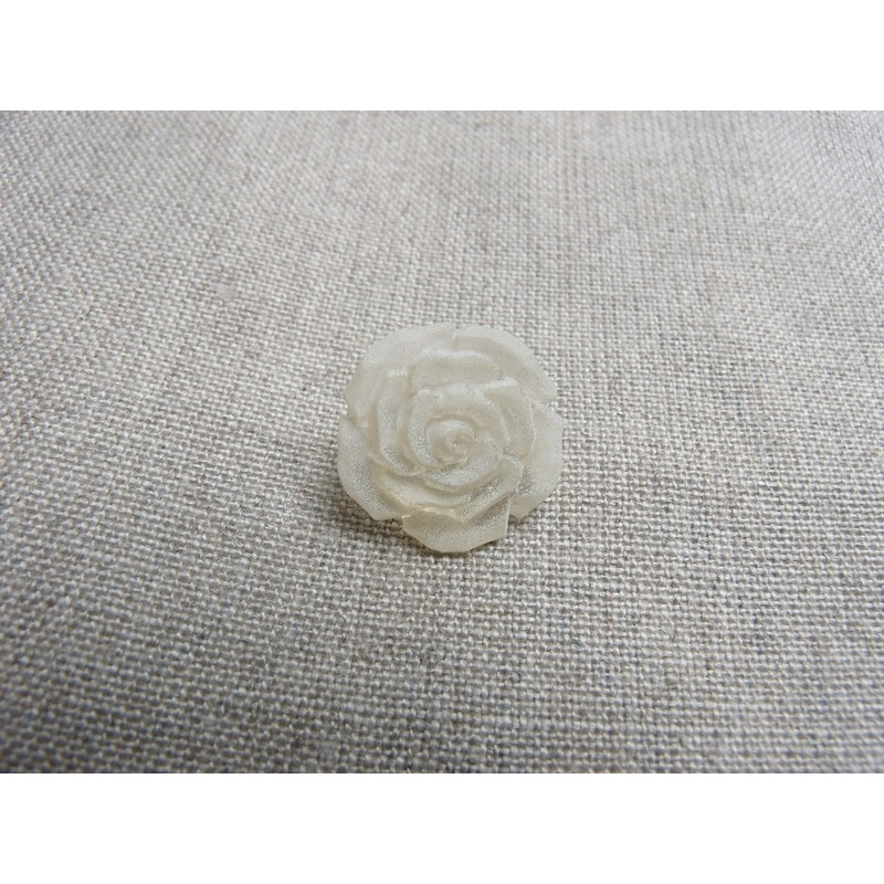 bouton fleur blanche
