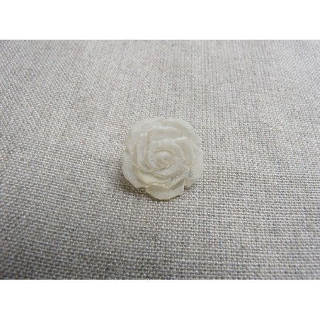 bouton fleur blanche