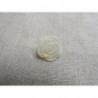 bouton fleur blanche