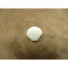 BOUTON DECORATIFS ENFANTS - MODELE SAINT JACQUES-