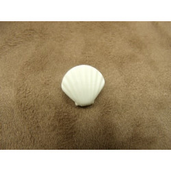BOUTON DECORATIFS ENFANTS - MODELE SAINT JACQUES-