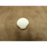 BOUTON DECORATIFS ENFANTS - MODELE SAINT JACQUES-