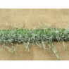 RUBAN FANTAISIE ACRYLIQUE / LAINE- 2 cm- VERT  RUBAN FANTAISIE ACRYLIQUE / LAINE- 2 cm- VERT