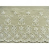 DENTELLE sur maille crême - 13 cm- brodée blanc