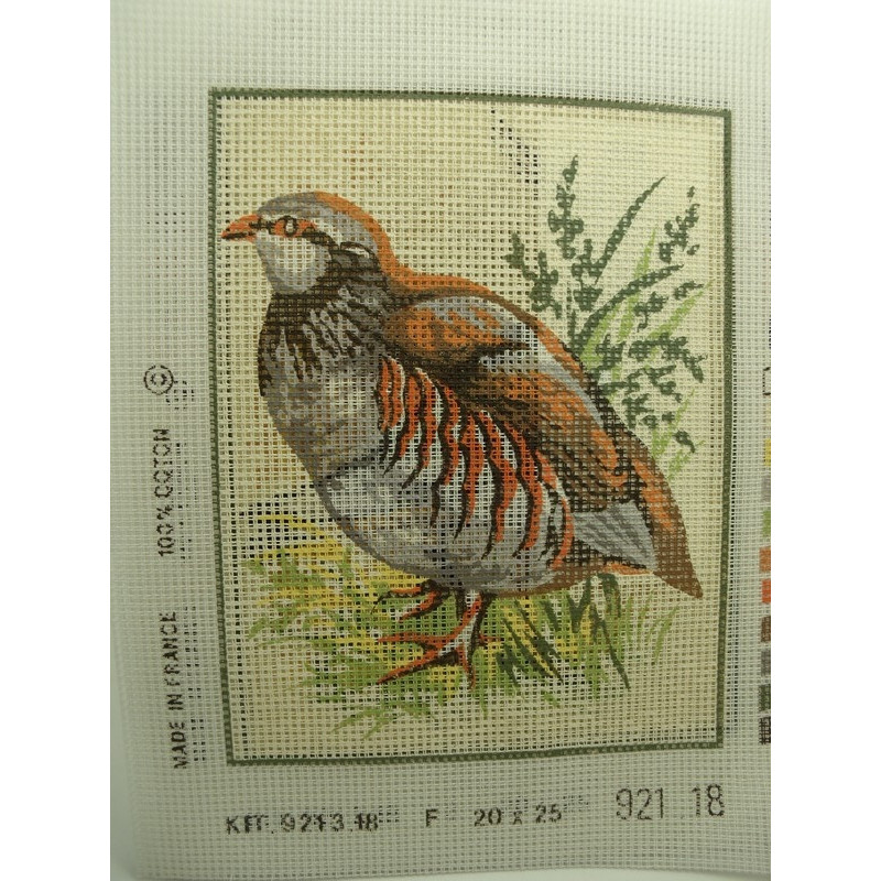canevas motif ANIMAUX PINTADE  20x25 cm